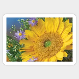 Common Sunflower And Asters North America I Sticker